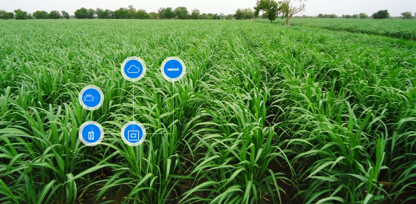 OPTIMIZE YOUR CROPS PRODUCTIVITY WITH NETBEAT™