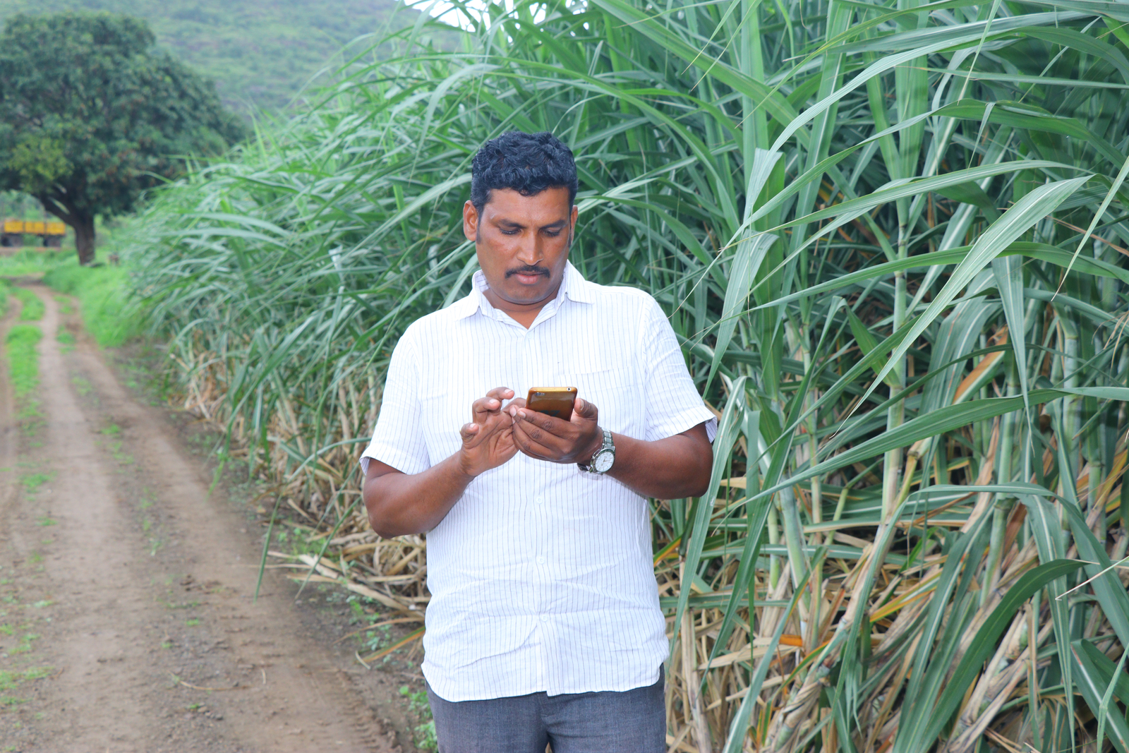 Get Real-Time Recommendations from the World’s First Agri-Brain