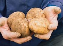 Food security