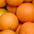 Citrus