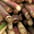 Sugarcane