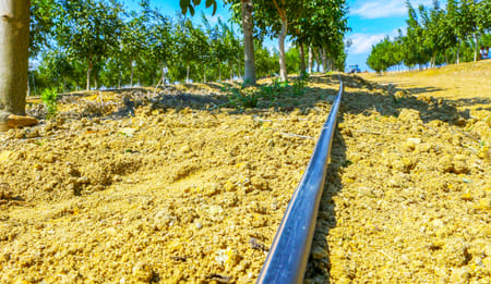 The Environmental Benefits of Drip Irrigation Systems