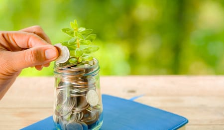 Micro Irrigation Systems: Government Subsidies, Benefits, and Setup Guide