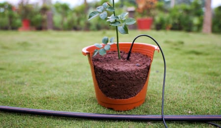 Transform Your Garden with Drip Line Irrigation