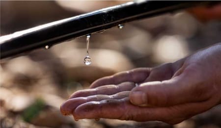 How Drip Irrigation Improves Water Productivity Per Drop