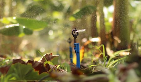 Innovations in Micro Irrigation: What's New in 2025
