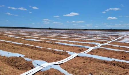 Flexible Pipes Making Drip and Sprinkler Irrigation Smarter and Simpler