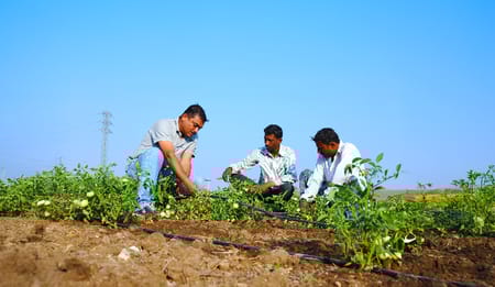 Drip Irrigation System in India: A Farmer’s Complete Buying Guide