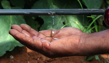 Precision Irrigation for Beginners: What It Is and How It Works