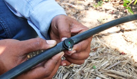 Why Every Farmer Should Switch to Drip Pipe Irrigation Today