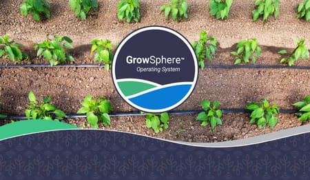 Automatic Drip Irrigation & Digital Farming: Grow More with Less Using Netafim India’s GrowSphere™