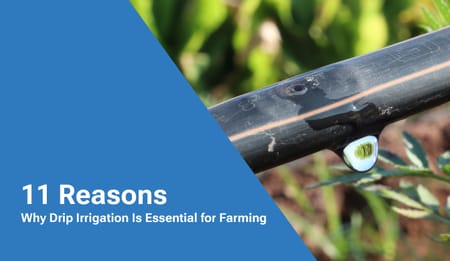 11 Reasons Why Drip Irrigation Is Essential for Farming