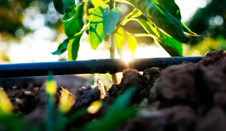 The Benefits of Using Drippers for Precision Irrigation