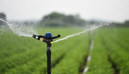 Top 5 Benefits of Using Sprinkler Irrigation Systems for Indian Farms