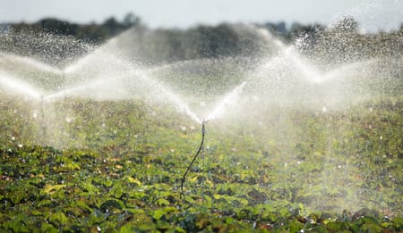 Best Drip Irrigation Systems for Vegetable Farming in India