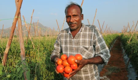 Choosing the Right Micro Drip Irrigation System for Vegetable Farming in India