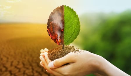 Climate-Proof Agriculture: Drip Irrigation as the Answer to Water and Yield Challenges