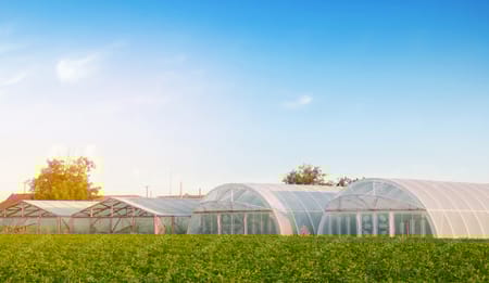 How Polyhouse Farming with Precision Irrigation Improves Crop Quality