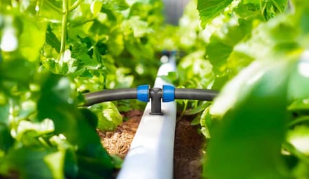 How Drip Irrigation Pipes Make Farming Easier and More Profitable