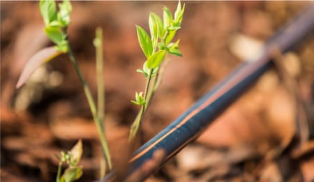 Why Professional Irrigation Installation Matters