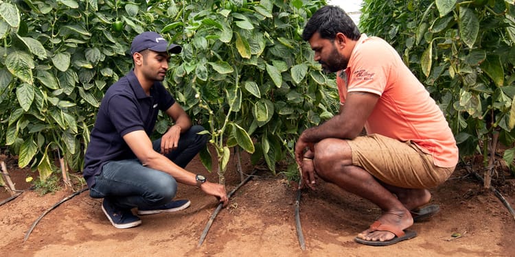 Comprehensive Services for Irrigation Solutions and Products