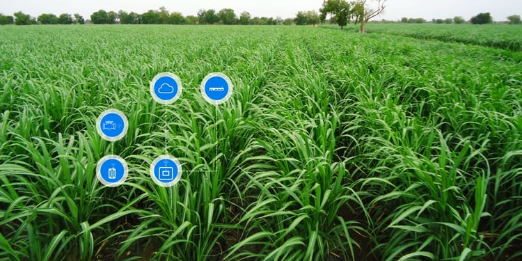 OPTIMIZE YOUR CROPS PRODUCTIVITY WITH NETBEAT™