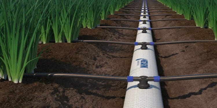 FlexNet™ Solutions: Elevate Irrigation System with Netafim India's Fexible Pipes 