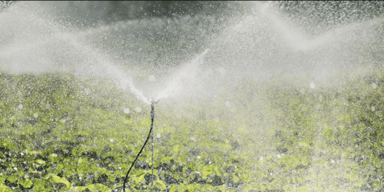 Sprinkler Irrigation Solutions: Mini & Micro Systems with Special Emitters