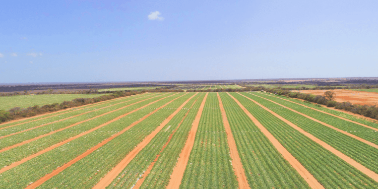 Precision Irrigation - Power a sustainable farming ecosystem to ensure a food secure future.