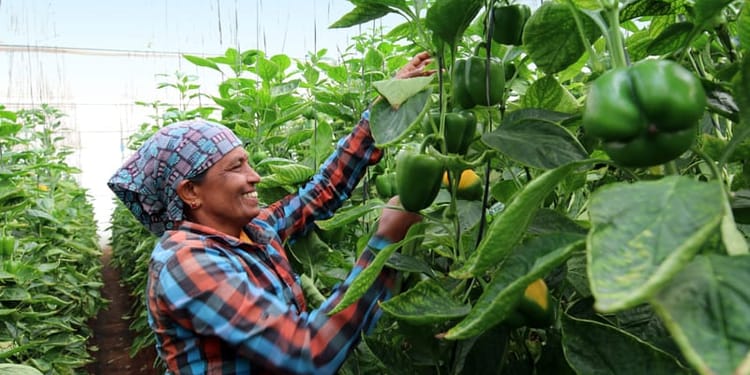 MONITOR EVERY BEAT OF YOUR CROPS