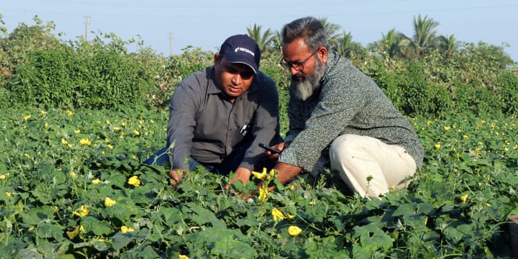 Innovation by farmers, for farmers