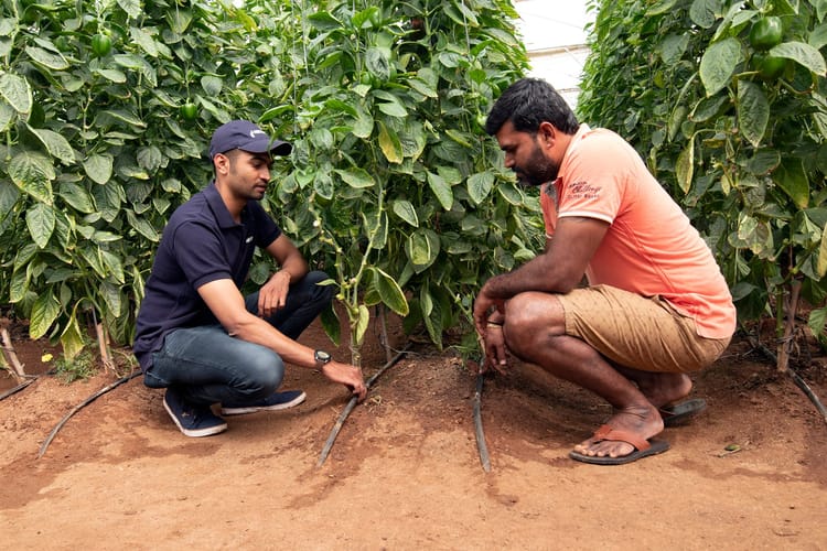 Comprehensive Services for Irrigation Solutions and Products