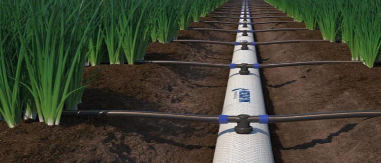 FlexNet™ Solutions: Elevate Irrigation System with Netafim India's Fexible Pipes 