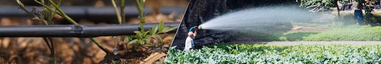 Banner How Drip Irrigation Reduces Labour Dependency