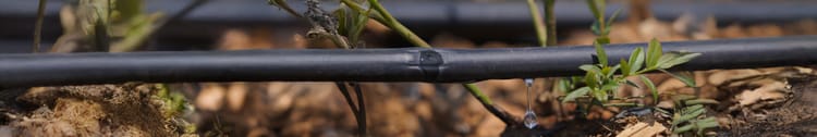 Banner Micro Irrigation Systems: Government Subsidies, Benefits, and Setup Guide