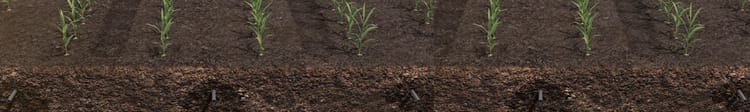 Banner Subsurface irrigation in Sugarcane Crop