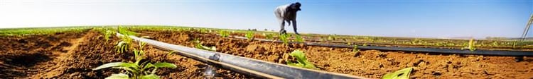 Banner Why Micro Irrigation is the Future of Agriculture in India