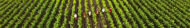 Banner Drip Farming for Every Crop: A Smart Way to Grow