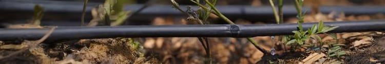 Banner Drip Pipe Irrigation: Grow More, Spend Less, Get Better Results