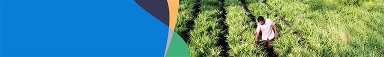 Banner Innovations in Micro Irrigation: What's New in 2025