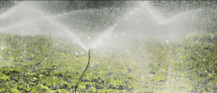 Sprinkler Irrigation Kits: Sprinklers, Micro Sprinklers, Mini Sprinklers, And Special Emitters