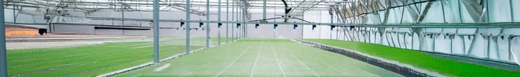 Banner Protecting Greenhouse Crops with Precision Drip Irrigation Filters