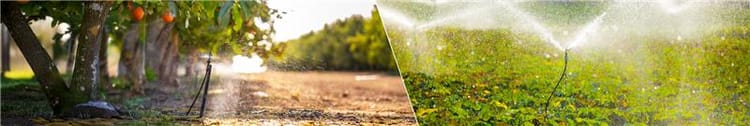 Banner Sprinkler Irrigation Systems for Open Fields & Orchards