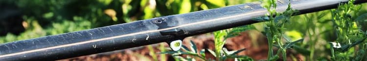 Banner Precision Irrigation for Beginners: What It Is and How It Works
