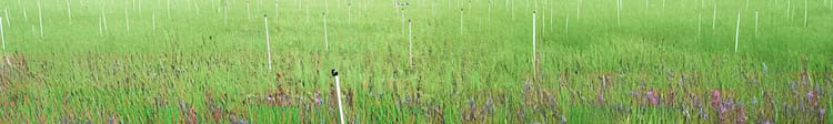 Banner Mini Sprinkler Irrigation: A Smart Solution for Efficient Water Use