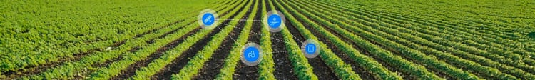 Banner Explore the Benefits of Digital Farming for Small-Scale Farmers