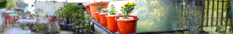 Banner An Affordable Solution for Home Gardeners with Netafim's Garden Irrigation Kit