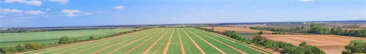 Banner 11 Reasons Why Drip Irrigation Is Essential for Farming