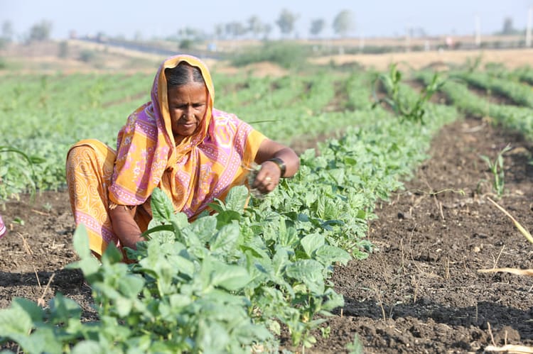 India Ramthal, farmers at work, stills footage 12
