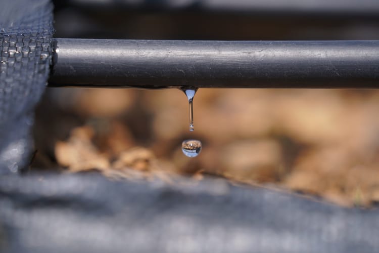 Banner DRIP IRRIGATION CAN BE A WIN-WIN SITUATION FOR INDIAN FARMERS